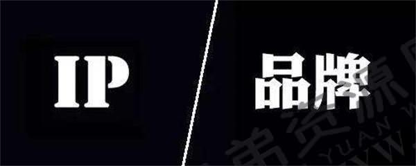 坚持价值输出之打造个人IP——实战操作 个人IP 博客运营 第2张